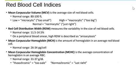 31 mchc blood test|high mch blood test results explained.